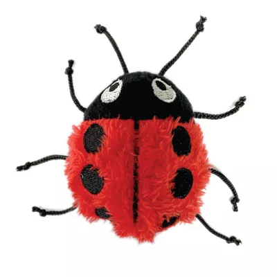 Plush Catnip Toys